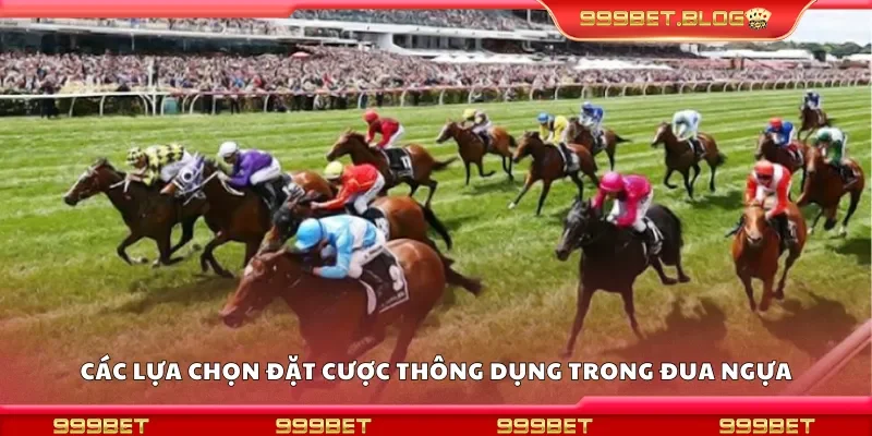 Các lựa chọn đặt cược thông dụng trong các cuộc đua ngựa